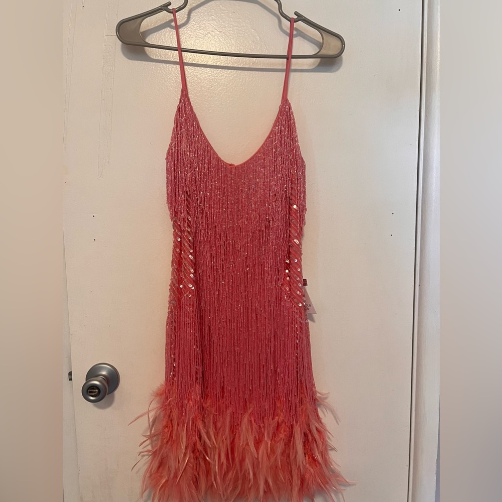 Nadine merabi pink lottie dress NWT